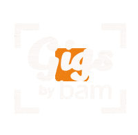 bamcases musik bam case violin Sticker