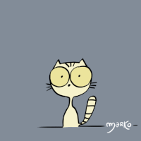 cat GIF by marko