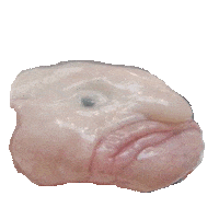 Ugly Sticker by imoji