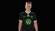 E Sports Sport GIF by VfL Wolfsburg