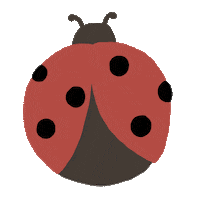 Bug Insect Sticker