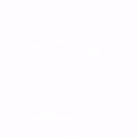 black and white flash GIF by Nico Roxe