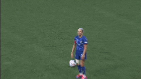 No Way What GIF by National Women's Soccer League