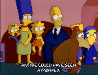 season 3 episode 6 GIF