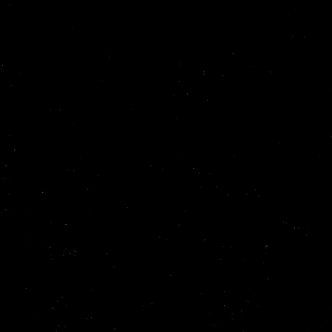 Celebration Hockey GIF by Eisbären Berlin