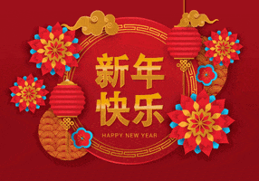 tokkigifting chinese new year tet tokki tokkiwrap GIF