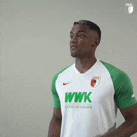 La Pantera Football GIF by FC Augsburg 1907
