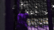 Sport Gold GIF by LSU Tigers
