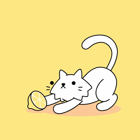 Cat Animation GIF by doodles