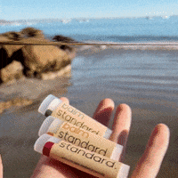 balmstandard best lips b lip GIF