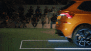 Dogs Kamiq GIF by ŠKODA UK