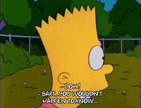 Season 2 GIF by The Simpsons