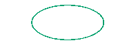 Circle Highlight Sticker by No Fake Flowers