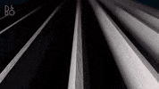Blooming High-End GIF by Bang & Olufsen