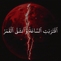 Sharqimk GIF