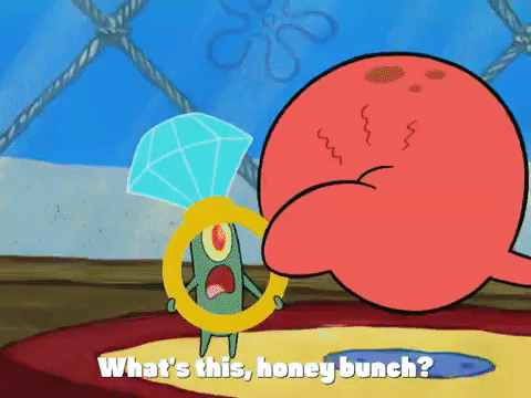 season 4 enemy in-law GIF by SpongeBob SquarePants