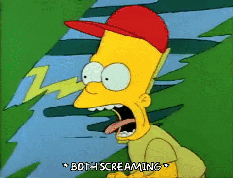 Season 1 GIF by The Simpsons