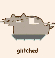 Cat Glitching GIF by G1ft3d