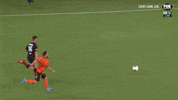 Western Sydney Wanderers Football GIF by Hyundai A-League