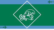 baseball wave GIF by GreenWave