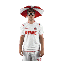 1 Fc Cologne Bundesliga Sticker by 1. FC Köln