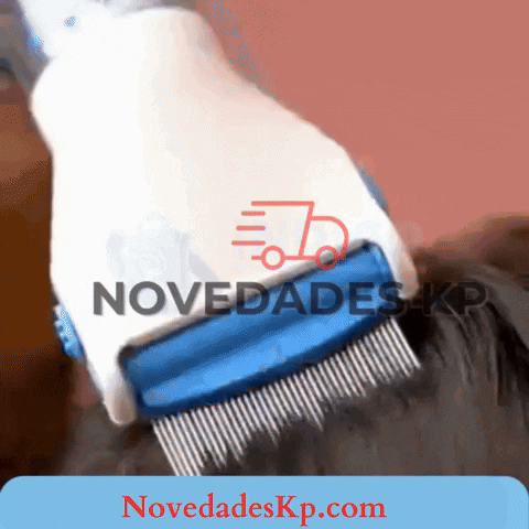 novedadeskp giphyupload GIF
