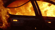 frameworks GIF by Topshelf Records