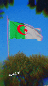 Dz Algirian GIF