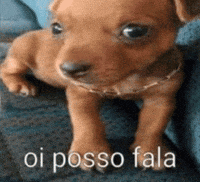 Batatamookiepink GIF