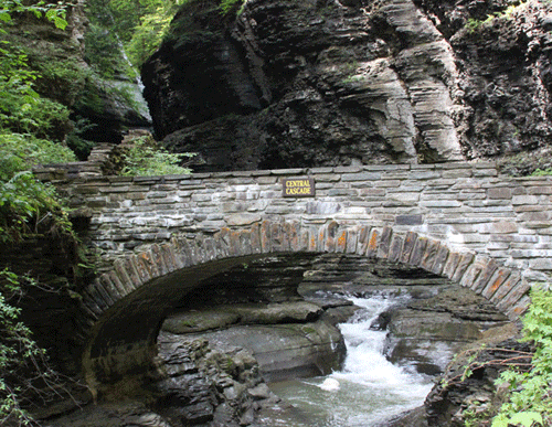 waterfall wtf GIF by irgum