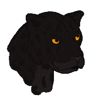 Panthera Onca Jaguar Sticker