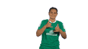 Sticker Emotionen Sticker by SV Werder Bremen