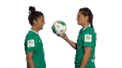 Sticker Emotionen Sticker by SV Werder Bremen