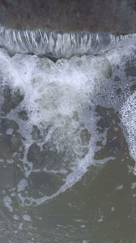 Simongip giphyupload GIF