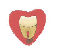 Dentist Odonto Sticker