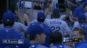 mlb baseball mlb curtis fives GIF