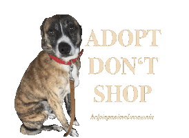 Dog Helping Sticker by helpinganimalsromania