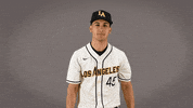 Baseball Calstatela GIF by Cal State LA Golden Eagles