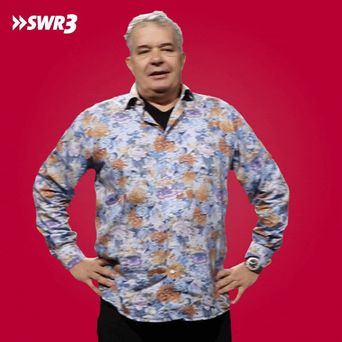 Stop It No Way GIF by SWR3