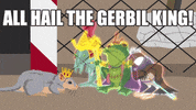 sp20moments GIF
