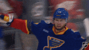 Happy National Hockey League GIF by NHL