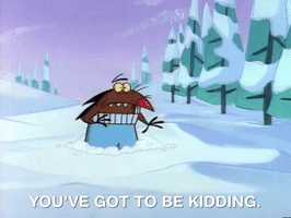 nickrewind nicksplat angry beavers GIF