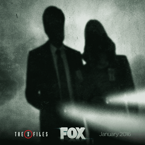 x files fox GIF