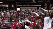 atlanta falcons GIF by NFL