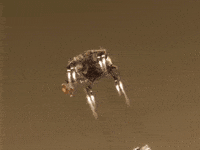 Mars Rover GIF by NASA