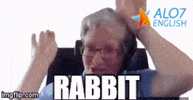 bunny rabbit GIF by ALO7.com