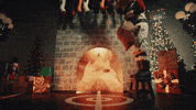 Basketball Hoops GIF by NBA