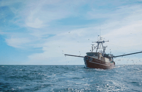 emilyMSC giphygifmaker GIF