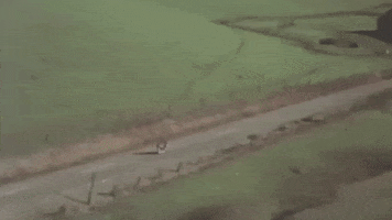Music Video GIF