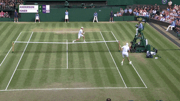american running GIF by Wimbledon